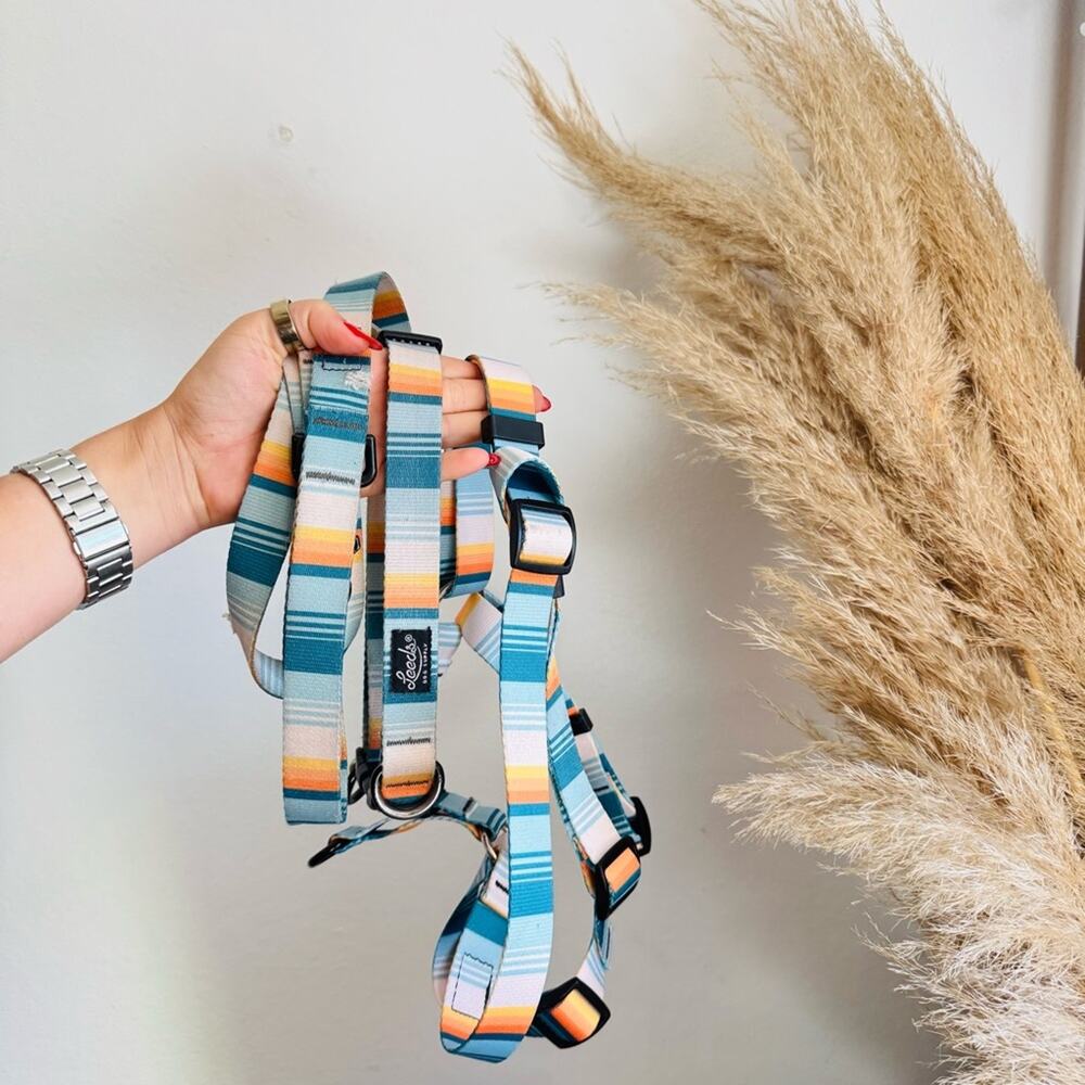 LEEDS Doheny White Blue Stripe Dog Leash Buckle Collar Step Harness $135 Set